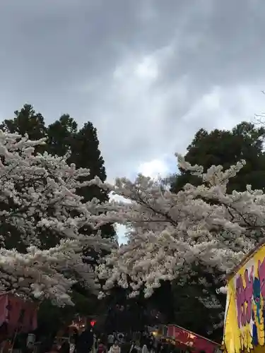 仙台東照宮のお祭り