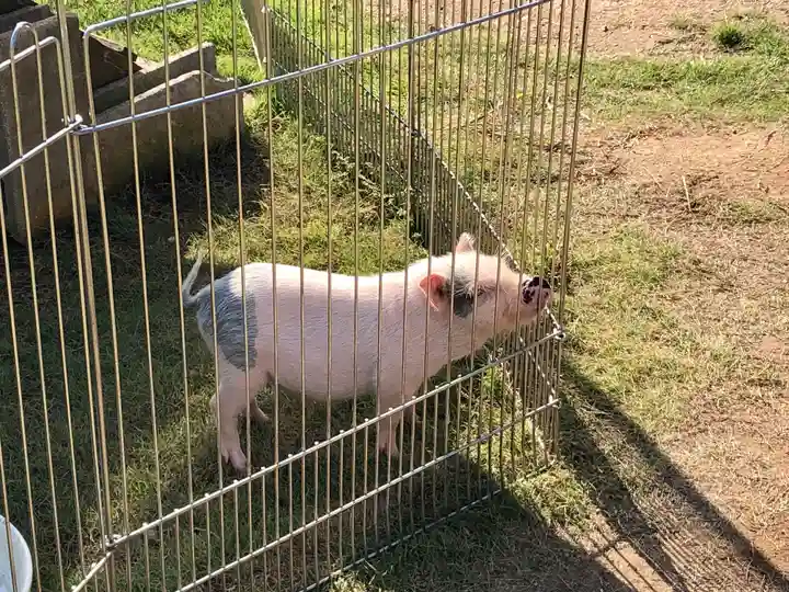 東本願寺本廟 牛久浄苑(牛久大仏)の動物