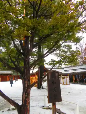 北海道神宮(北海道)