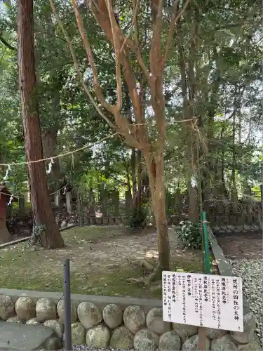 鎌田神明宮(静岡県)