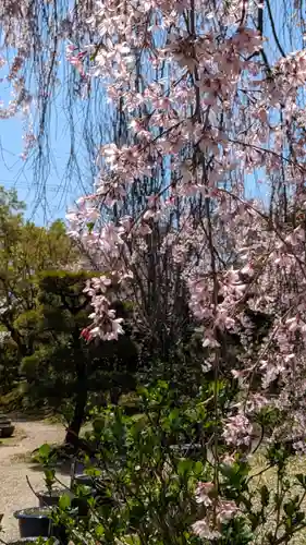 法金剛院(京都府)