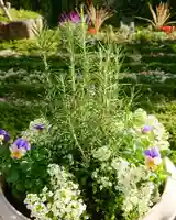 寿量山 速成寺の庭園