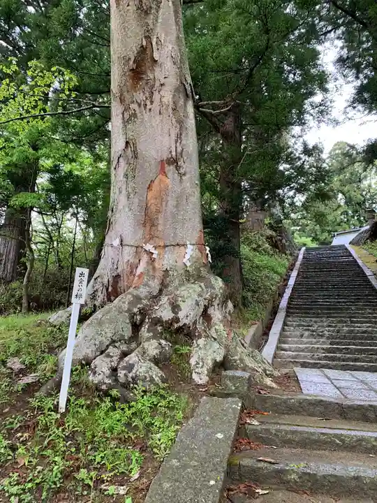 鹽竃神社のその他建物