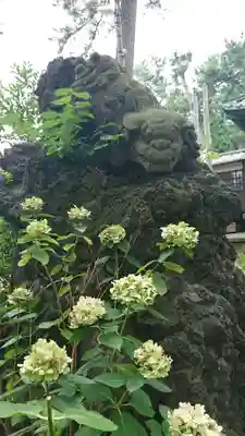諏訪神社の狛犬
