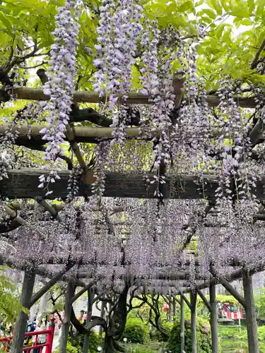 亀戸天神社の庭園