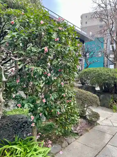 寳蓮寺の{uncategorized: "未分類", other: "その他", undefined: "問題あり", building: "その他建物", grave: "お墓", sacred_gate: "鳥居", guardian: "狛犬", statue: "像", buddha: "仏像", history: "歴史", nature: "自然", garden: "庭園", animal: "動物", pagoda: "塔", temizu: "手水舎", mountain_gate: "山門・神門", sanctuary: "本殿・本堂", subordinate: "末社・摂社", art: "芸術", scenery: "景色", jizo: "地蔵", ema: "絵馬", goshuin: "御朱印", omikuji: "おみくじ", items: "授与品その他", amulet: "お守り", goshuincho: "御朱印帳", eats: "食事", festival: "お祭り", votive_dance: "神楽", shichigosan: "七五三参", wedding: "結婚式", experience: "体験その他", initially: "初詣", around: "周辺", anti_infection: "感染症対策"}