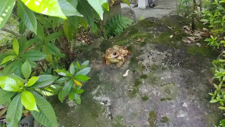 長建寺(京都府)