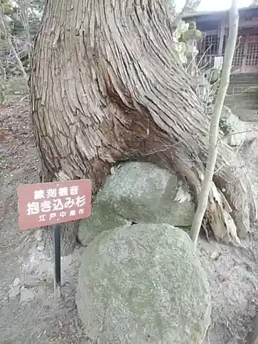 岩角山 岩角寺の自然