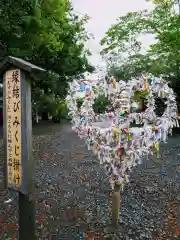 津島神社のおみくじ