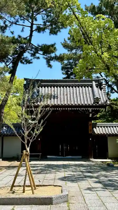 住吉大社(大阪府)