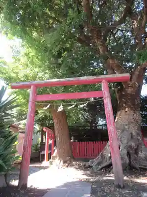 正一位稲荷大明神（築山稲荷社）の鳥居