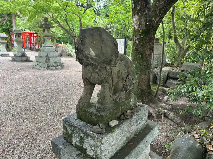 亀山神社の狛犬