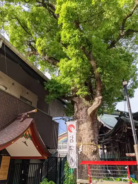 五方山熊野神社(東京都)