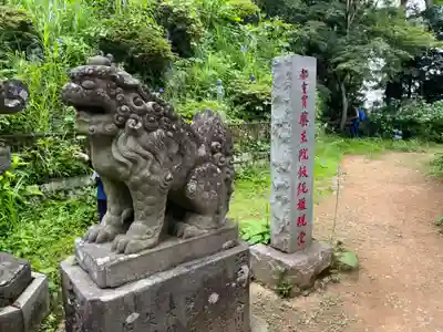 高尾山薬王院の狛犬