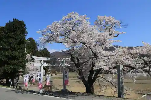 高司神社〜むすびの神の鎮まる社〜の景色