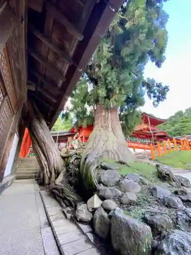 春日大社の自然