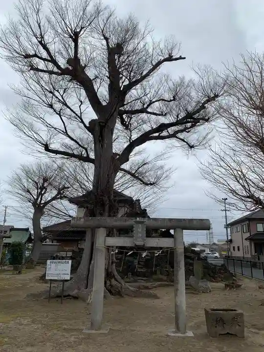 五井若宮八幡神社の鳥居