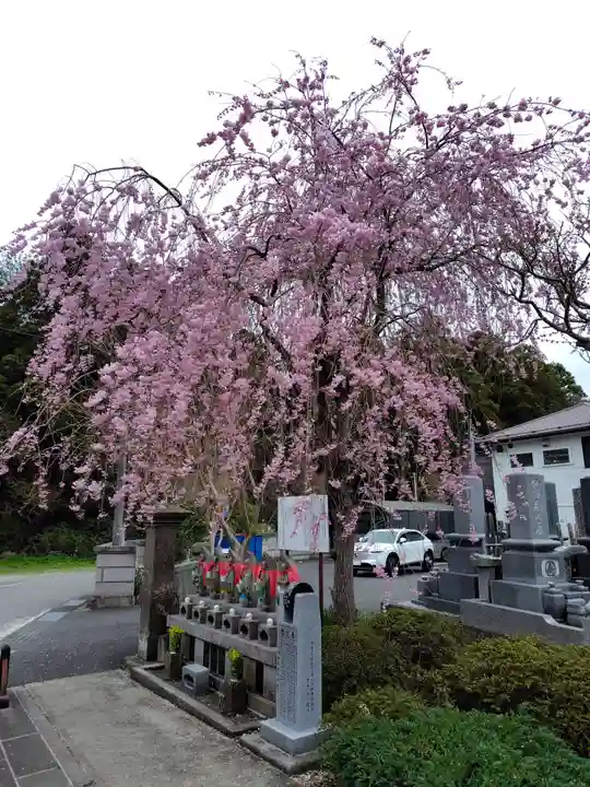 月心院(福島県)