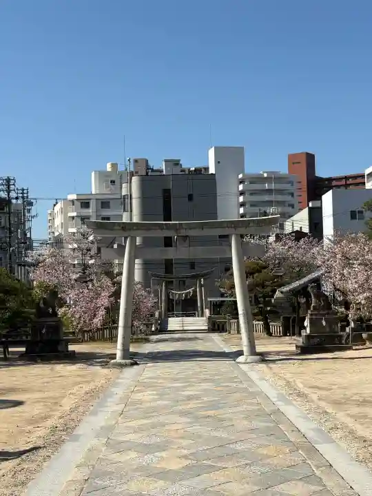 鶴羽根神社の{uncategorized: "未分類", other: "その他", undefined: "問題あり", building: "その他建物", grave: "お墓", sacred_gate: "鳥居", guardian: "狛犬", statue: "像", buddha: "仏像", history: "歴史", nature: "自然", garden: "庭園", animal: "動物", pagoda: "塔", temizu: "手水舎", mountain_gate: "山門・神門", sanctuary: "本殿・本堂", subordinate: "末社・摂社", art: "芸術", scenery: "景色", jizo: "地蔵", ema: "絵馬", goshuin: "御朱印", omikuji: "おみくじ", items: "授与品その他", amulet: "お守り", goshuincho: "御朱印帳", eats: "食事", festival: "お祭り", votive_dance: "神楽", shichigosan: "七五三参", wedding: "結婚式", experience: "体験その他", initially: "初詣", around: "周辺", anti_infection: "感染症対策"}