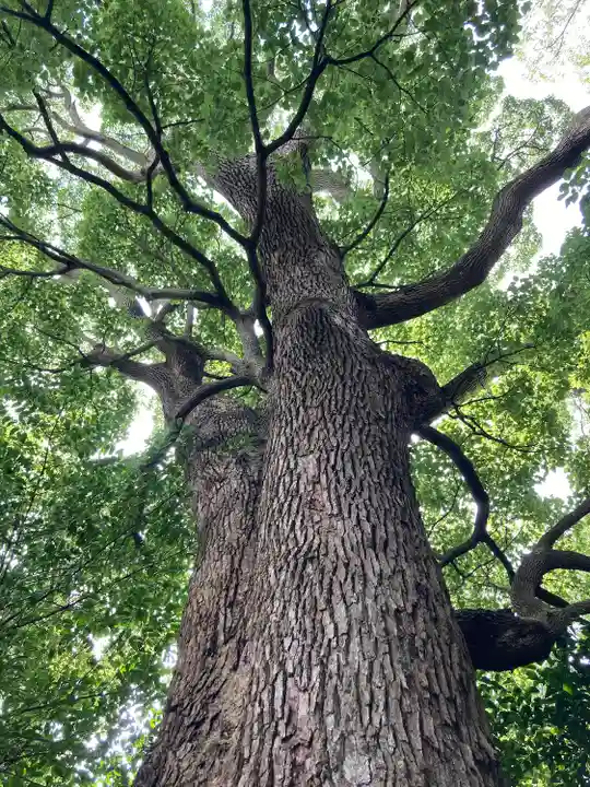 伊勢山皇大神宮(神奈川県)