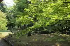 若狭神宮寺の庭園