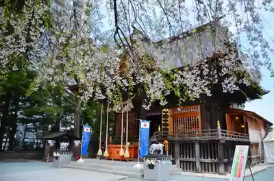 榴岡天満宮の本殿・本堂