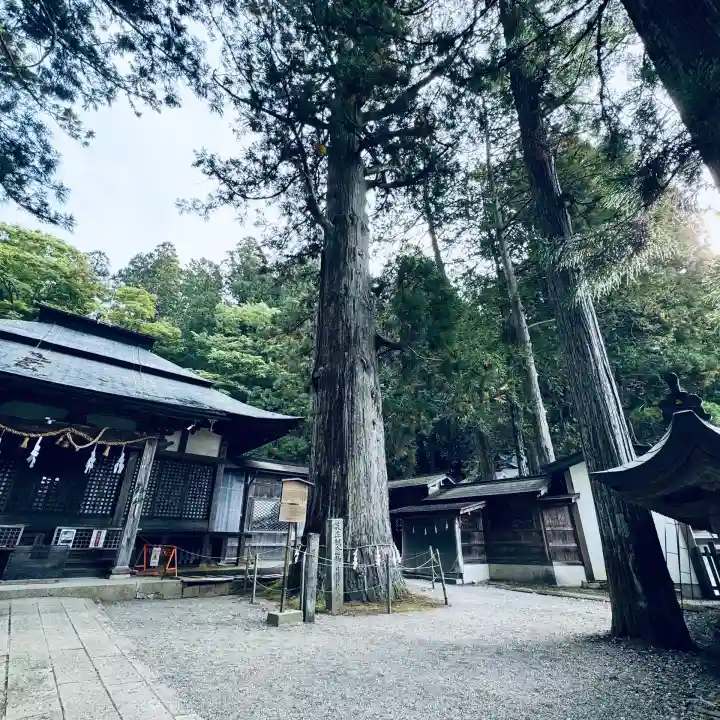 日枝神社(岐阜県)