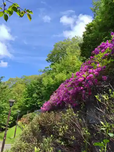 厚別神社(北海道)