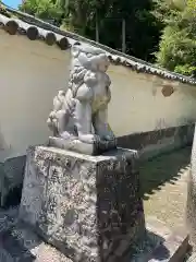 白山比咩神社の狛犬