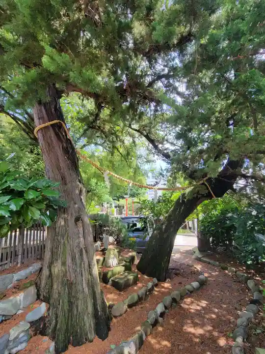瀬戸神社の自然