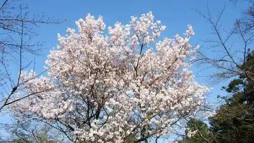 金刀比羅宮(香川県)