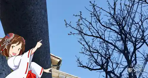 大六天神社の自然