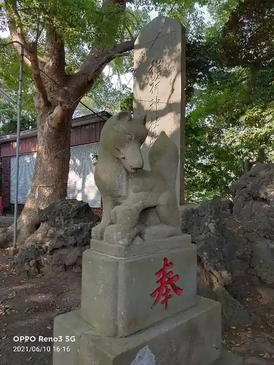 小栗原稲荷神社の狛犬