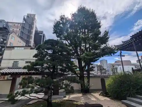 源空寺(東京都)