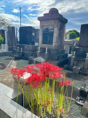 花蔵院(東京都)