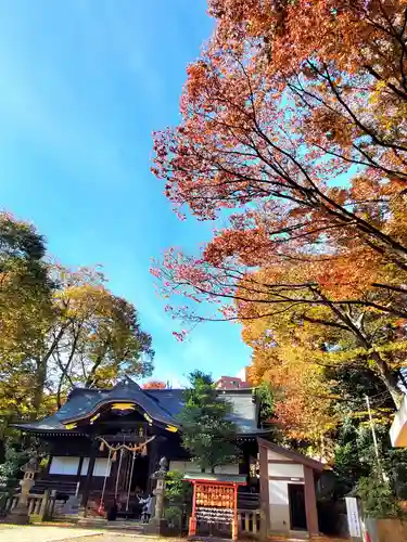 安積國造神社の本殿・本堂