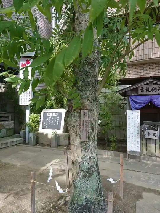 菅生神社の庭園