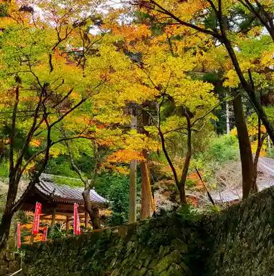 財賀寺のその他建物