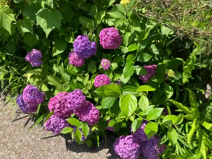 定泉寺(神奈川県)