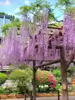 愛染院(東京都)