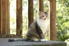 玉野御嶽神社(愛知県)