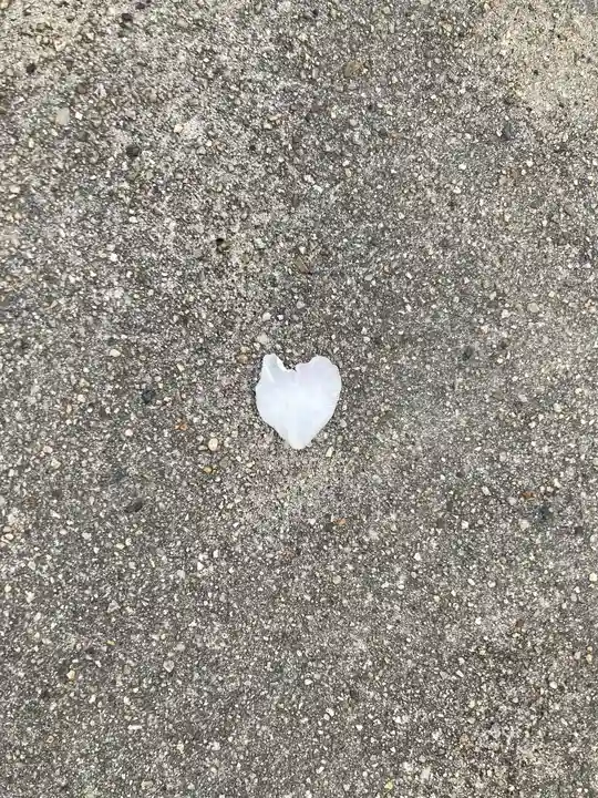 天神社(大阪府)
