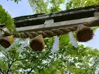 天鷹神社(岐阜県)