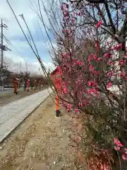 朝日森天満宮(栃木県)