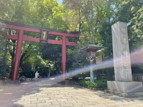 根津神社の鳥居