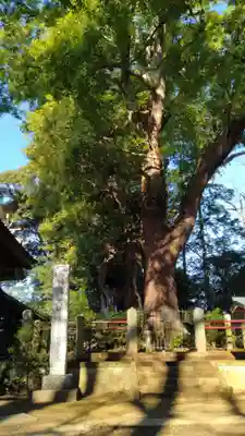 神崎神社(千葉県)