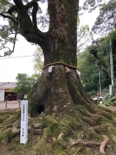 薦神社の自然