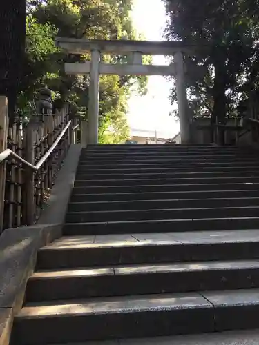 渋谷氷川神社の鳥居