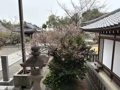 真龍寺(大阪府)