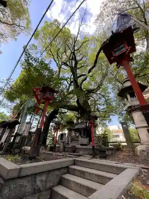 若一神社の末社・摂社